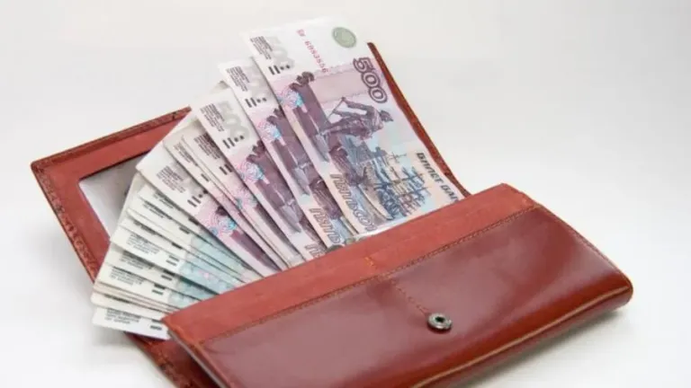 В Чечне пособие по беременности и родам получили 55 студенток