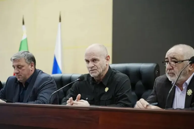 «Чеченэнерго» отремонтировало более 340 км линий электропередачи