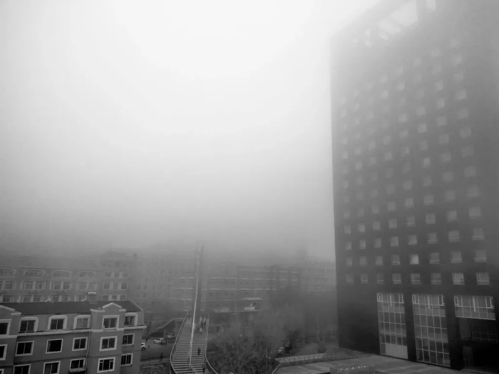 Туман, тепло и почти без дождя: погода в Чечне на выходные